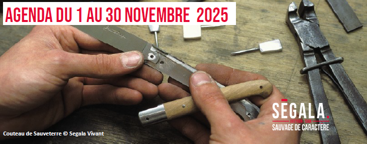 Lire la suite à propos de l’article L’agenda touristique en Ségala : les manifestations programmées du 1er au 30 novembre 2025.